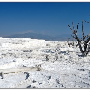 #34 Mammoth Hot Springs
