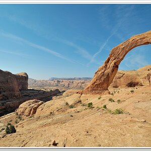 #43 Corona Arch