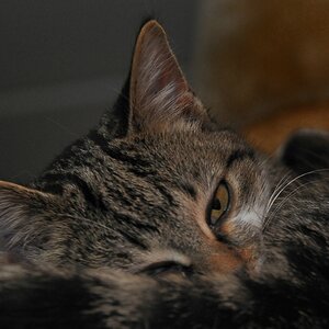 2012 11 18 10228  D300S A