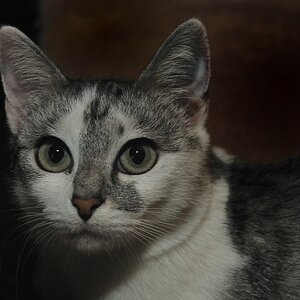 2012 11 18 10243  D300S A