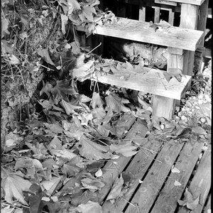 treppe