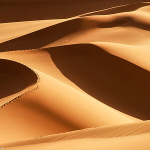 20121105  Algerien 004