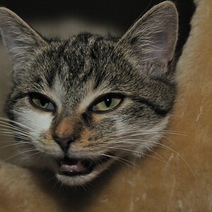 2012 11 18 10423  D300S A