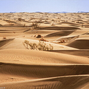 20121105  Algerien 018