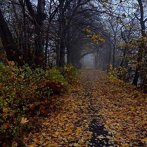DSC 0085 1024