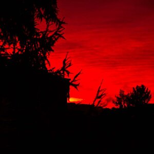 Sonnenaufgang klein2