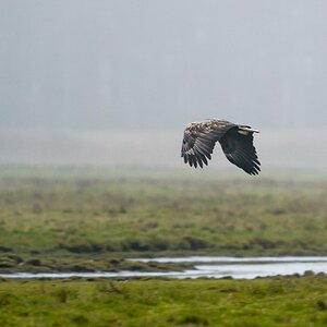 20121116 0570 [NIKON D4] 500 mm,1 320 Sek. bei ƒ   4,8