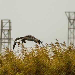 20121116 0661 [NIKON D4] 500 mm,1 500 Sek. bei ƒ   4,8