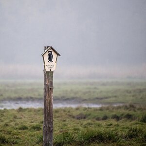 20121116 5316 [E M5] 300 mm,1 80 Sek. bei ƒ   5,6