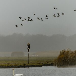 20121116 0525 [NIKON D4] 300 mm,1 320 Sek. bei ƒ   2,8
