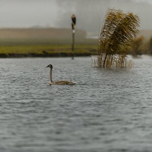 20121116 0533 [NIKON D4] 300 mm,1 320 Sek. bei ƒ   2,8