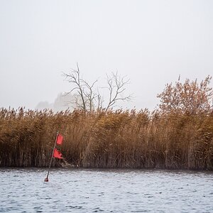 20121116 5330 [E M5] 100 mm,1 200 Sek. bei ƒ   4,0