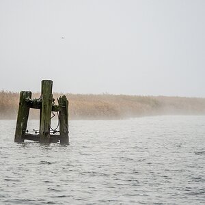20121116 5378 [E M5] 100 mm,1 250 Sek. bei ƒ   4,0