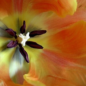 PICT0362