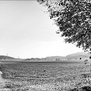 20mmDSC 7509