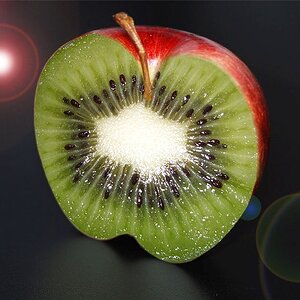 apfel kiwi aus 1220 Wien