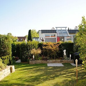 DSC 2536