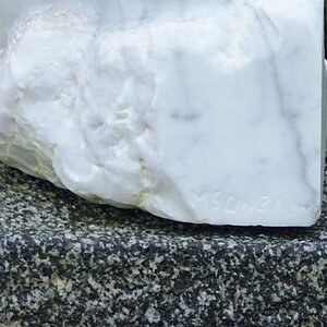 DSC 0297A