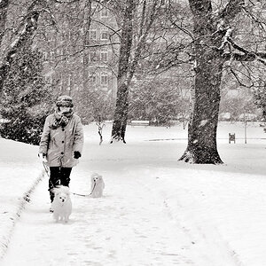 Schrevenpark im Januar 2012