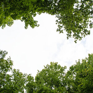 DSC0658 Bearbeitet
