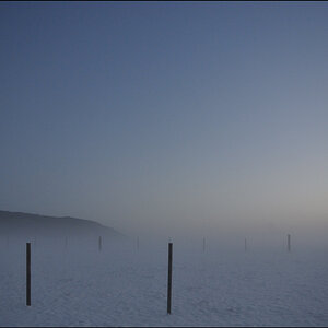 MorgenDSC 3007