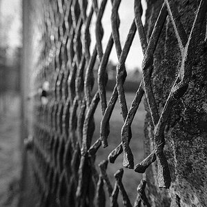 20121122 DSC 0943 Bearbeitet