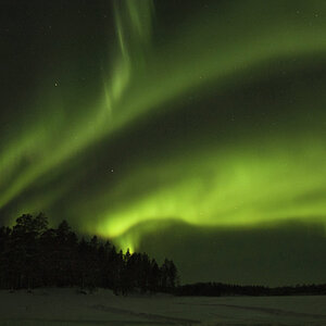 FINPIC_2