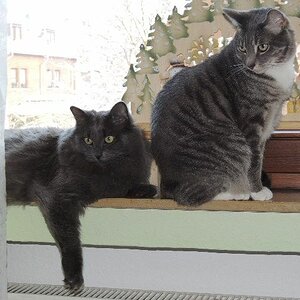 Diego + Sam
