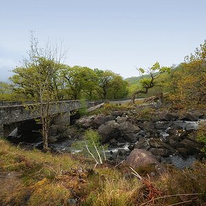 Killarney (95)