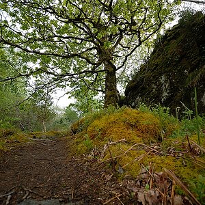 Killarney (102)