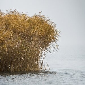 20121116 0698 [NIKON D4] 500 mm,1 200 Sek. bei ƒ   5,6