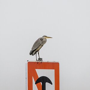 20121116 0711 [NIKON D4] 500 mm,1 500 Sek. bei ƒ   5,6