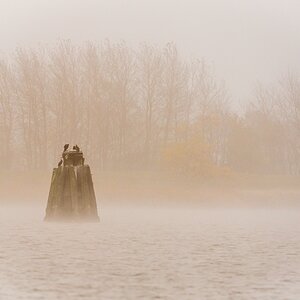 20121116 0729 [NIKON D4] 420 mm,1 500 Sek. bei ƒ   5,6