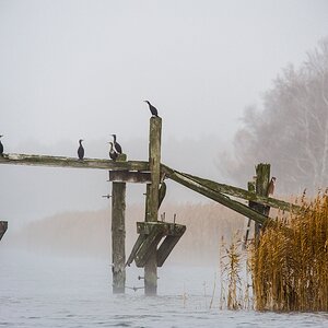 20121116 0732 [NIKON D4] 420 mm,1 500 Sek. bei ƒ   5,6