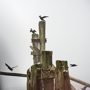 20121116 0737 [NIKON D4] 420 mm,1 320 Sek. bei ƒ   5,6