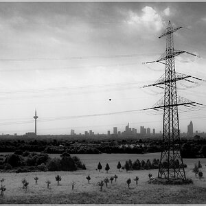 ffm in sicht