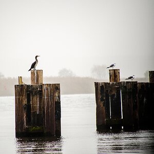 20121116 5613 [E M5] 300 mm,1 200 Sek. bei ƒ   5,6