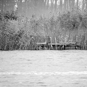 20121116 5634 [E M5] 300 mm,1 125 Sek. bei ƒ   5,6 Bearbeitet