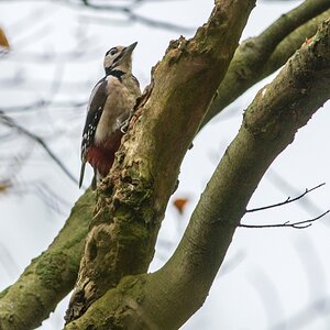 20121116 29289 [NIKON D2Xs] 500 mm,1 160 Sek. bei ƒ   4,8