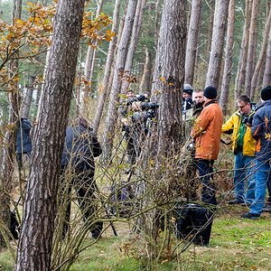 20121116 5761 [E M5] 45 mm,1 40 Sek. bei ƒ   4,5