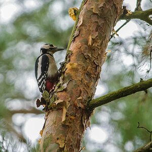 20121116 29340 [NIKON D2Xs] 500 mm,1 20 Sek. bei ƒ   5,0