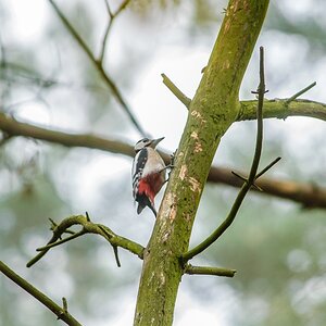 20121116 29306 [NIKON D2Xs] 500 mm,1 30 Sek. bei ƒ   4,8