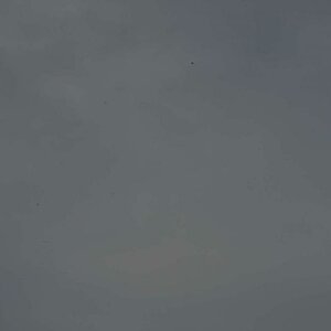 DSC 0984 01