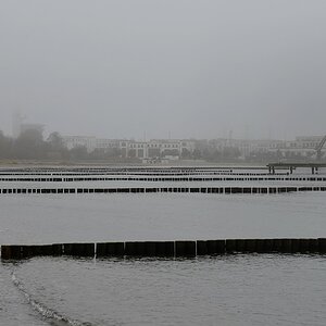 DSC 0293 24 11 2012