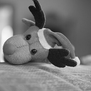 3. Advent