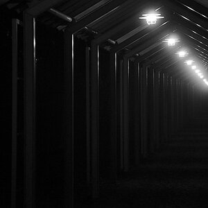 follow the light 1