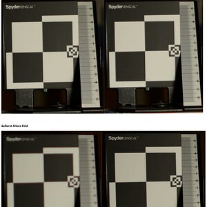 Nikon D800 nach 2ter Justage mit Lenscal hier mit Nikkor 28/1.8G, Belichtung Manuell F1.8 1/500s ISO100, Abstand 1,25m, Vergleich Phasen-AF vs. Kontra