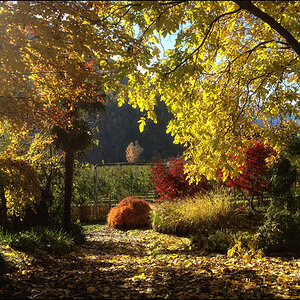 herbst