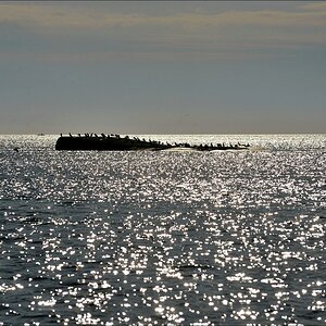 aacomp Schweden 20120816 1573