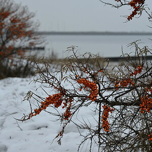 DSC 1348 16 12 12